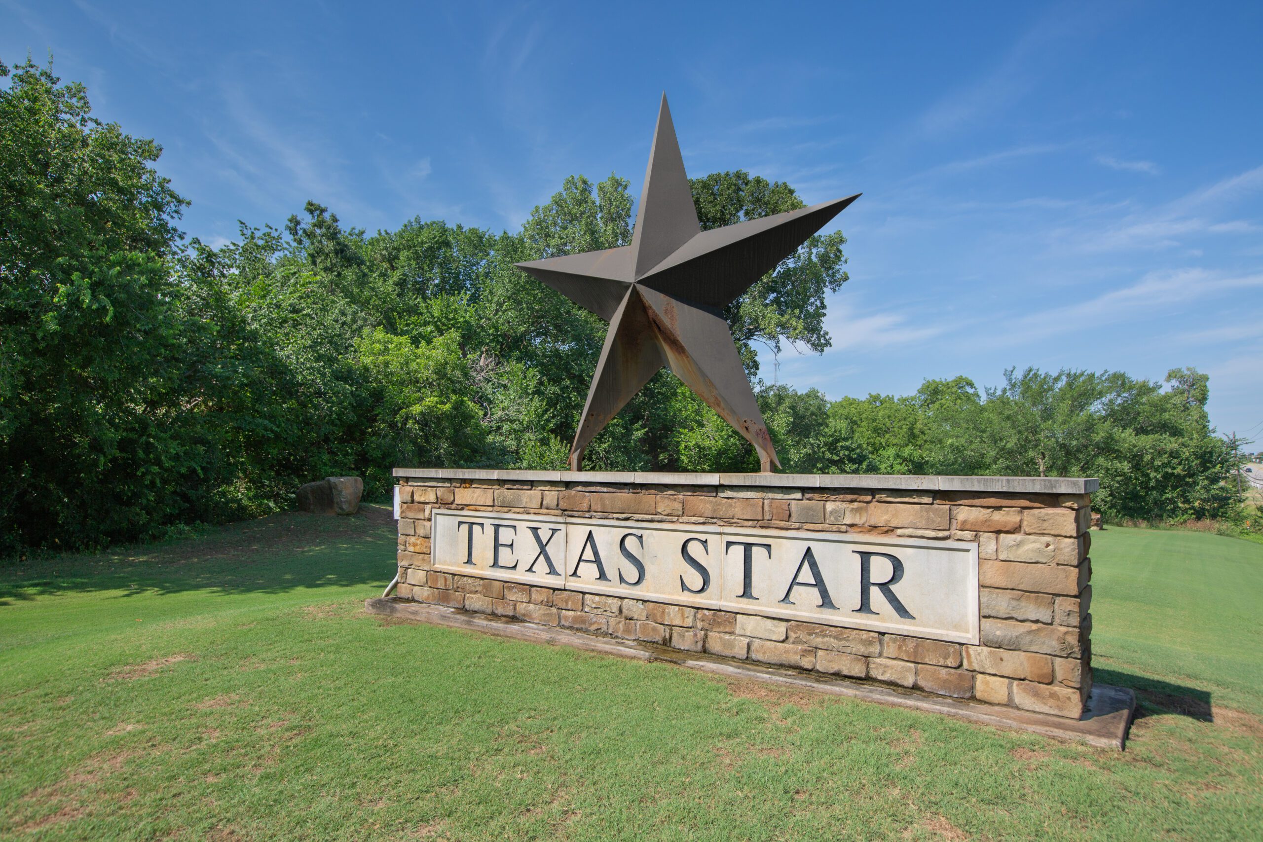 Artificial grass in Euless, TX