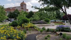 Artificial grass services in Lewisville, TX